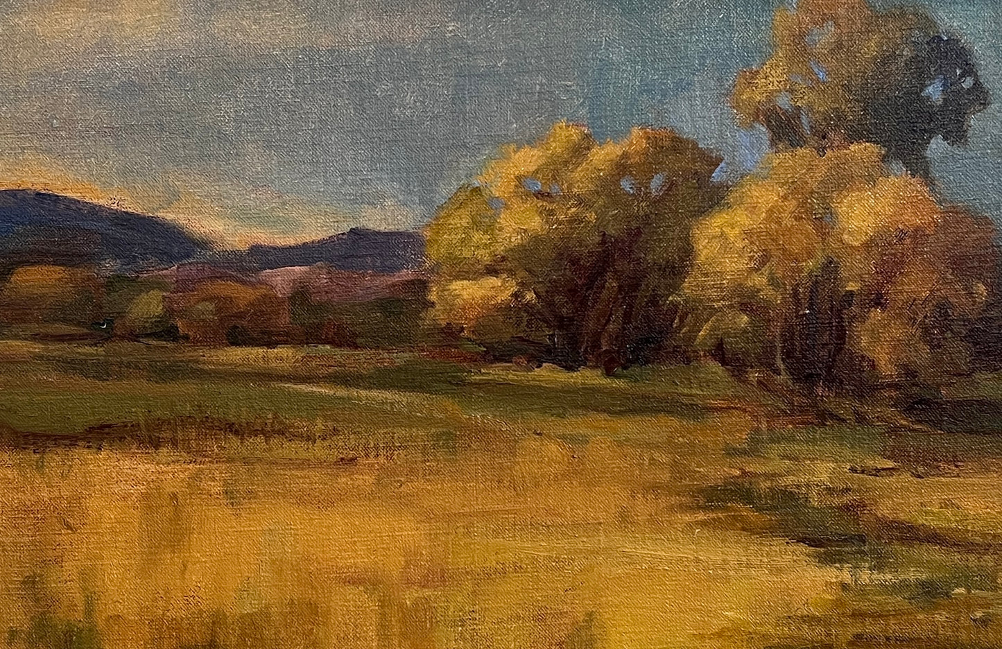 Bonnie Anderson "Desert Aglow" Oil on Canvas
