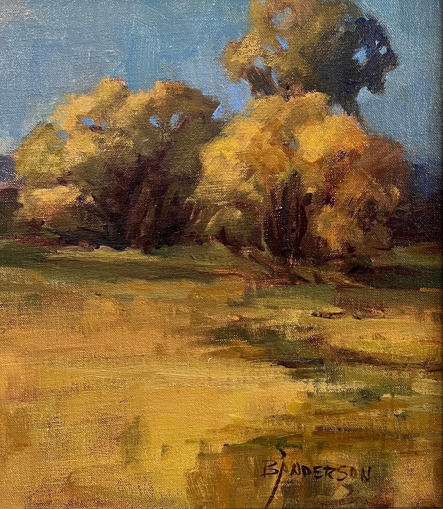 Bonnie Anderson "Desert Aglow" Oil on Canvas