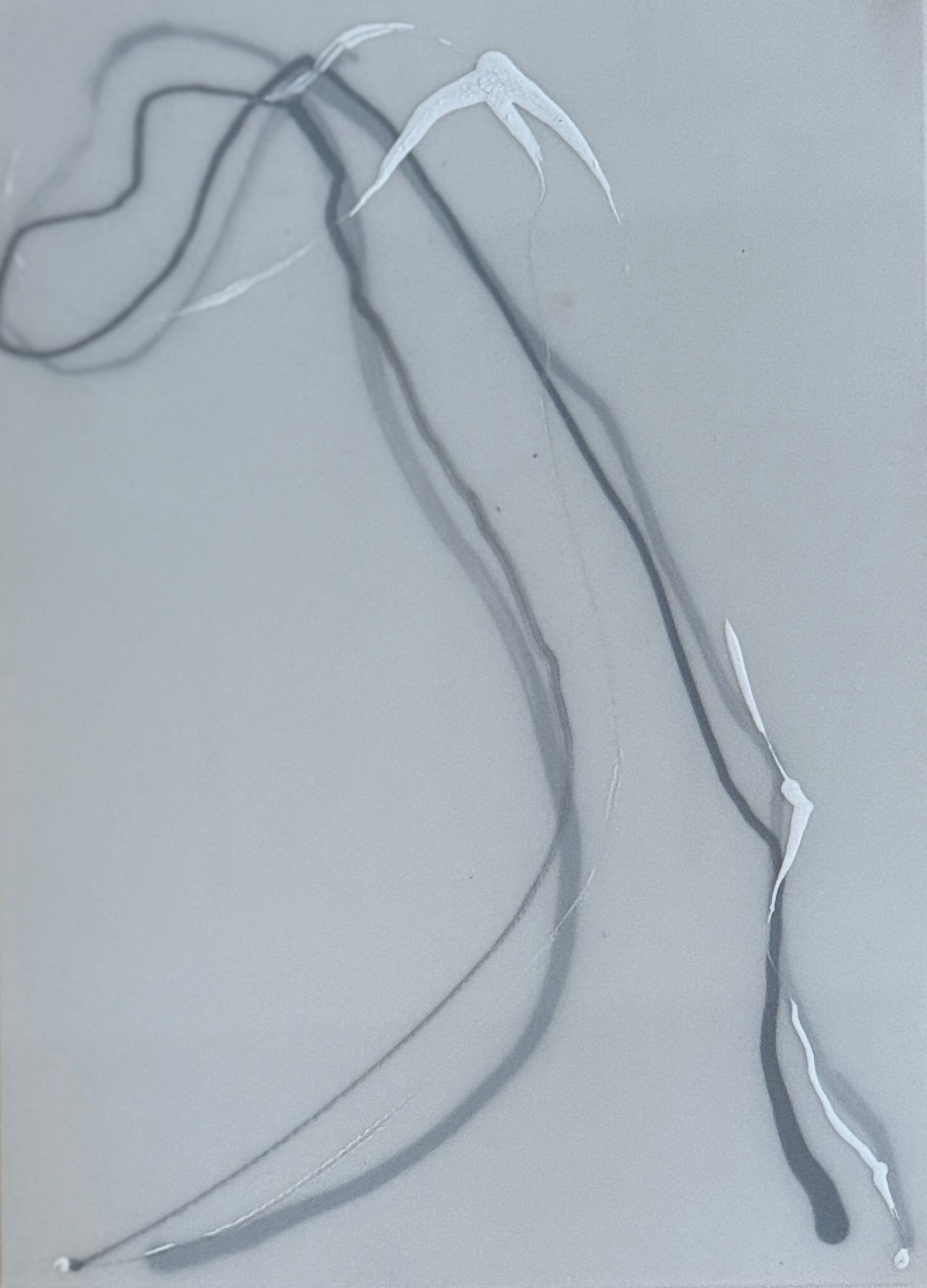 Lynne Riding "Transition - 5" Ink on Mylar
