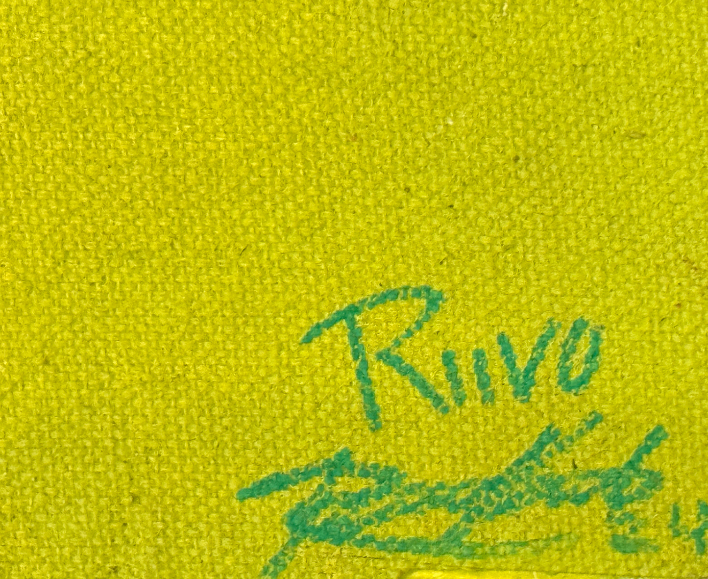 Riivo Kruuk, Multimedia